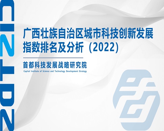 大鸡巴快肏死我了视频网站【成果发布】广西壮族自治区城市科技创新发展指数排名及分析（2022）